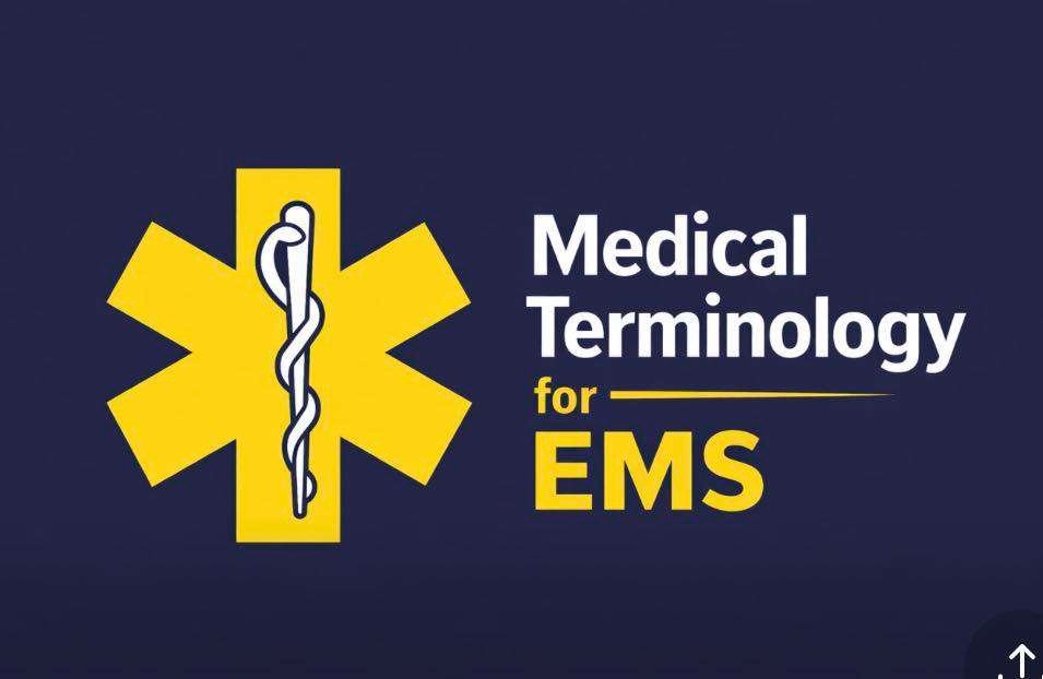 Screenshot Medical Terminology for EMS